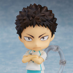 Nendoroid Iwaizumi Hajime